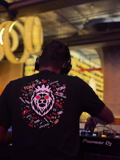 Abi - Private Event DJ Services Pro Gear & Video DJing (VDJ) photo 3