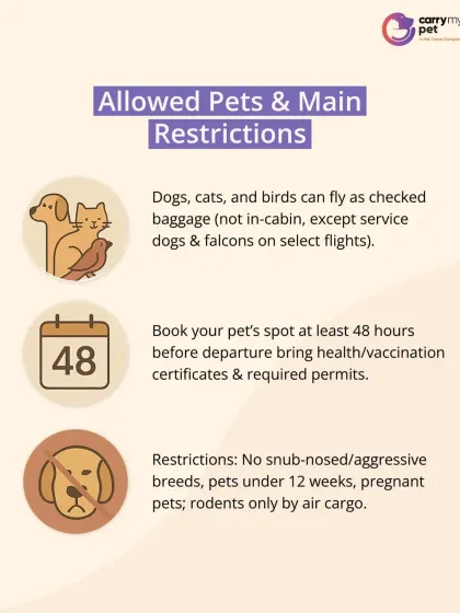 CarryMyPet - Pet Travel & Parenting Consultation Your Pet Travel Questions, Answered photo 9