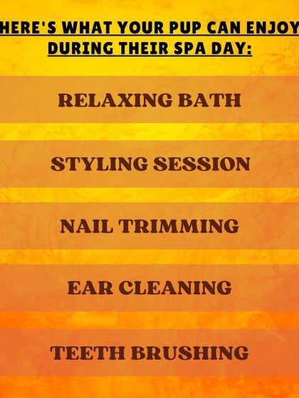 Here's what your pup can enjoy during their spa day with us. Our services include a relaxing bath, styling, nail trimming, ear cleaning, and teeth brushing for a complete wellness experience.
