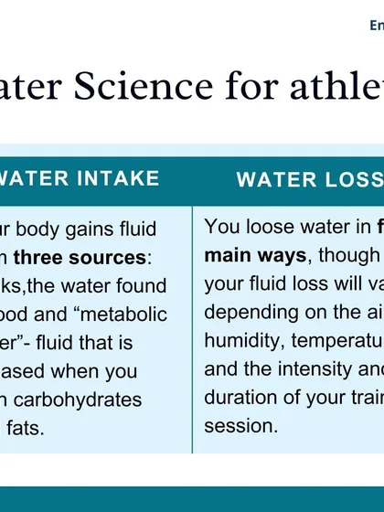 This chart explains the basic water science for athletes. Your body gains fluid from three sources (drinks, food, metabolic water) and loses it in five main ways, with the rate depending on the environment and intensity.