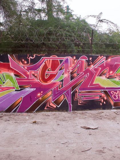 Yogi Graffiti - Custom Murals & Wall Art Pure Graffiti: Wildstyle & Crew Sessions photo 6