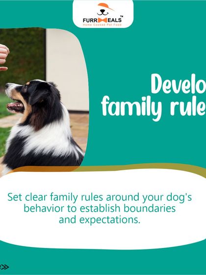 Preparing your home for a new dog is essential for a smooth transition. This guide walks you through the key steps, including dog-proofing your space, creating a cozy den, stocking up on supplies, and setting clear family rules.