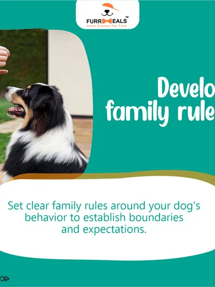 Preparing your home for a new dog is essential for a smooth transition. This guide walks you through the key steps, including dog-proofing your space, creating a cozy den, stocking up on supplies, and setting clear family rules.