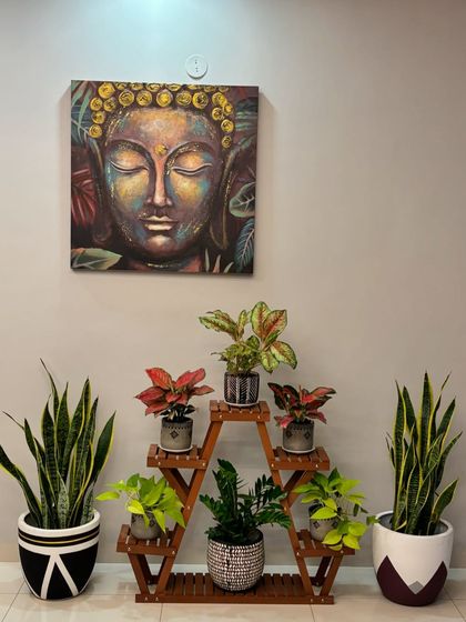 The A-frame plant stand, now part of a larger, serene setup. Flanked by two large snake plants and placed under a Buddha painting, it creates a peaceful and balanced focal point.