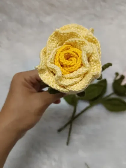 A detailed look at the yellow dual-color rose, with a bright yellow center.