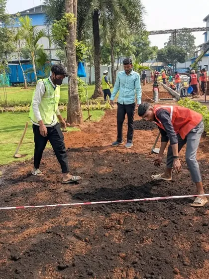 Our team levels the soil for a new lawn section, working carefully around existing garden beds.