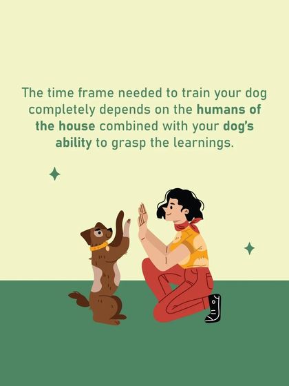 Furry Story - Dog Training & Behavior Consultation My Training Philosophy: Building a Lasting Bond photo 9