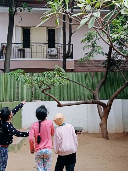 The Earth School - Montessori Primary & Elementary Program Hands-On Science & Nature Study photo 45