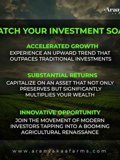 This infographic breaks down the key financial drivers of our farmland investments: accelerated growth that outpaces traditional assets, substantial returns that multiply wealth, and an innovative opportunity to join a modern agricultural renaissance.