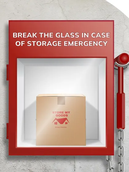 In case of a storage emergency, break the glass. My service is the emergency solution you need when you're out of space and time.