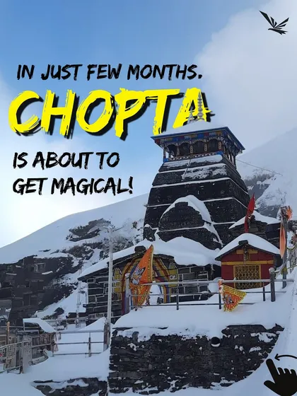 In just a few months, Chopta is about to get magical. The Tungnath temple covered in snow is a sight you don't want to miss.