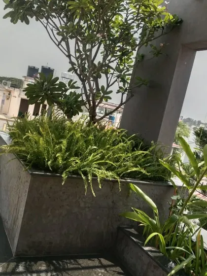 A large, built-in planter on a terrace, filled with lush ferns and a small tree, showcasing integrated and permanent planting solutions.