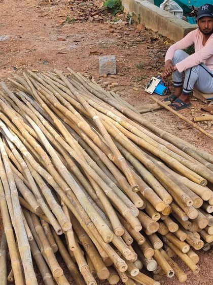 A pile of treated bamboo, the primary material for the iconic parasols at the TAPMI Centre. Our commitment to using local and natural materials is central to our design process.