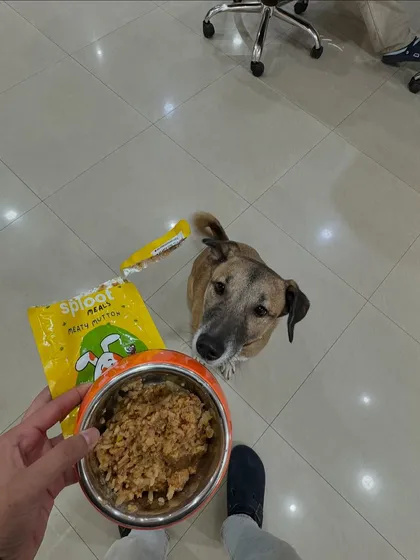 Mealtime at the office with Sriracha. She's about to enjoy her Meaty Mutton meal, proving that good food can be served anywhere, anytime.