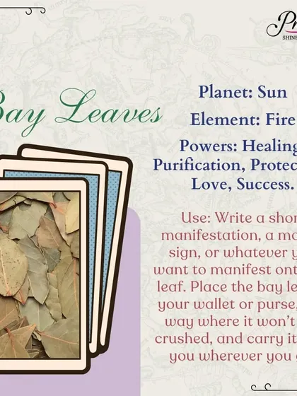 Bay leaves, connected to the Sun and the element of fire, are powerful for healing, protection, and success. I share a simple ritual where you write your manifestation on a leaf and carry it with you to keep your intention close.