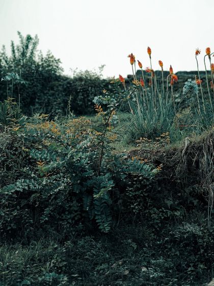 Garima Bhaskar - Photography Services Travel Diaries: Global & Local photo 111