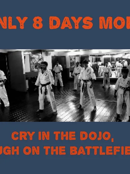 "Cry in the dojo, laugh on the battlefield." This is the philosophy we train with every day, and we look forward to showcasing it at our anniversary event.