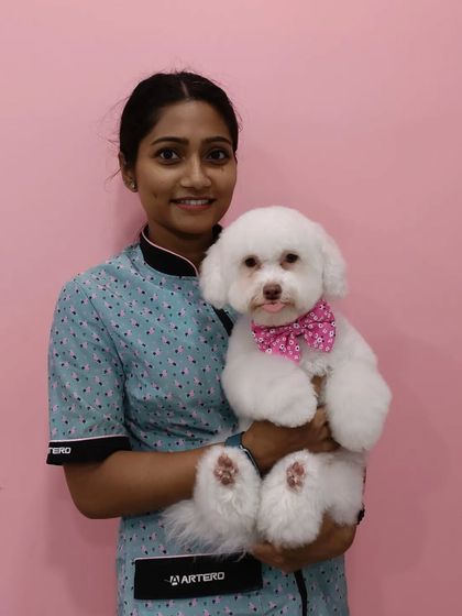 Mamppi Deb - Pet Grooming & Styling Poodle, Doodle & Cockapoo Styles photo 17