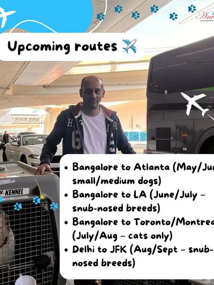 Anvis - Pet Relocation Specialized Care & Travel Options photo 6