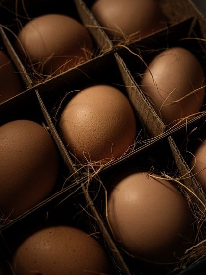 Food & Beverage Stories photo 8