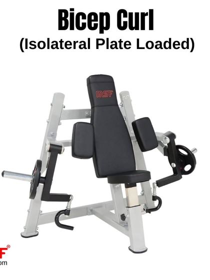 A clean studio shot of the Isolateral Bicep Curl machine. Its sturdy, heavy-duty frame is built for commercial gym use.