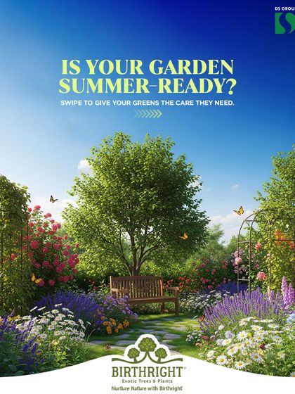 Summer can be tough on our green friends. We provide simple care tips, like proper watering and sun protection, to help you keep your plants cool, healthy, and thriving all summer long.