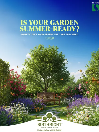 Summer can be tough on our green friends. We provide simple care tips, like proper watering and sun protection, to help you keep your plants cool, healthy, and thriving all summer long.
