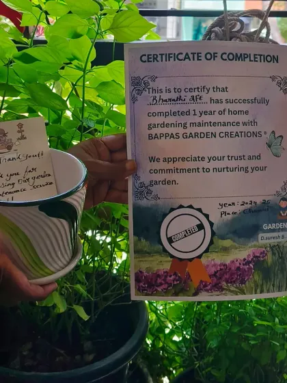 We are proud to celebrate a one year annual maintenance contract with a happy client. This certificate is a symbol of the trust our customers place in us to consistently care for their gardens and keep them healthy.