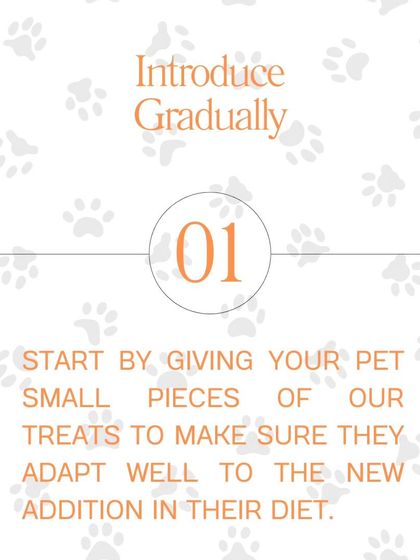 Tip #1: Introduce Gradually. Start by giving your pet small pieces of our treats to make sure they adapt well to the new addition in their diet.