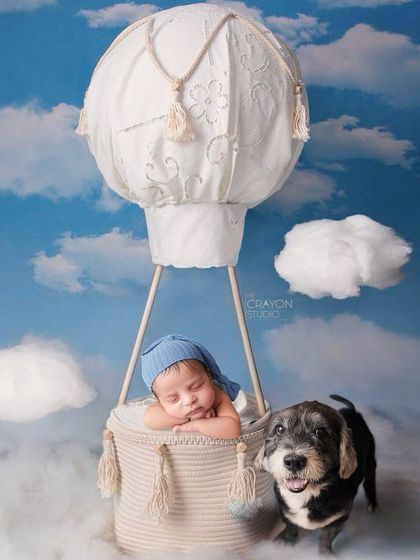 Drifting off to dreamland in a hot air balloon, with his furry best friend standing guard. This whimsical newborn portrait is a perfect example of how we can include beloved pets in your session.