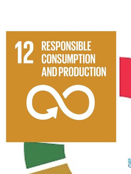 I believe the future is a 'resource revolution'. My services help industries optimize their use of limited natural resources, promoting Responsible Consumption and Production (SDG 12) for a more sustainable industrial landscape.