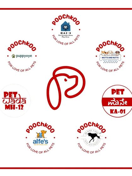Poochkoo - Pet Boarding & Daycare More Than a Business: Our Community Work photo 3