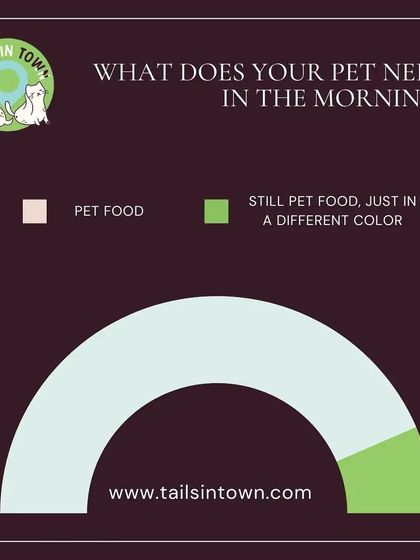 Tails in Town - Pet Supplies Nourishing Meals for Happy Pets photo 3