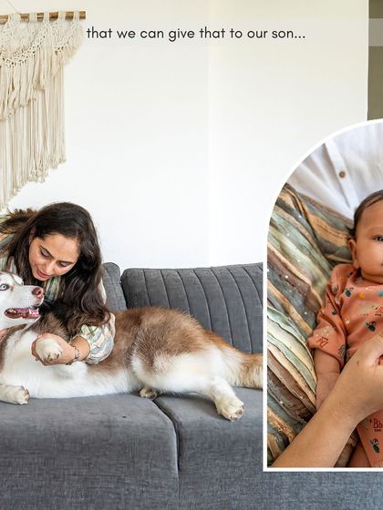 Pawparazzi By Prathima - Maternity & Newborn Photography with Pets Newborns & Their Furry Guardians photo 3