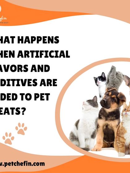 Artificial flavors and additives in pet treats can lead to digestive issues, allergies, and other health problems. We always choose natural ingredients to ensure your pet's well-being.
