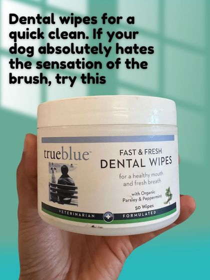 If your dog really dislikes brushing, dental wipes are a great alternative for a quick clean. They are easy to use and can help remove surface plaque.