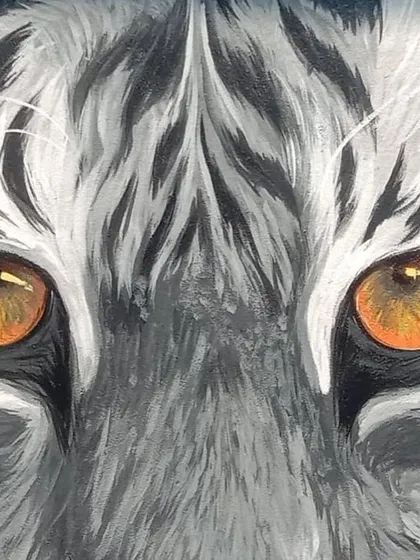 Another detailed shot of the tiger's eyes from the 'Pili Kula' mural. The focus here is on the meticulous brushstrokes used to create the texture of the white and black fur around the vibrant, realistic eyes.