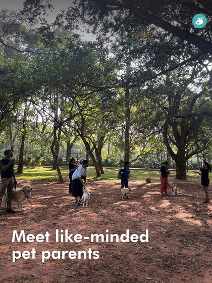 The Pack - Pet-Friendly Adventures & Meetups City Meetups & Doggie Picnics photo 11