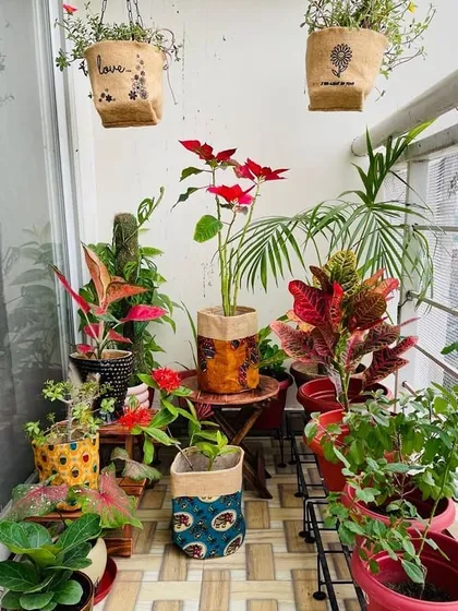 I love using natural and biodegradable materials. These jute grow bags with Kalamkari prints are an eco-friendly and stylish option for holding a variety of potted plants on a client's balcony.