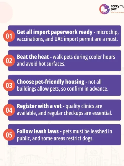 CarryMyPet - Pet Travel & Parenting Consultation Your Pet Travel Questions, Answered photo 20