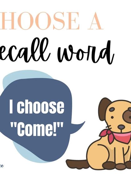 Teaching your dog to come when called starts with choosing a clear, consistent recall word. 'Come' is a great choice, but you can use any word that you'll use only for this important command.