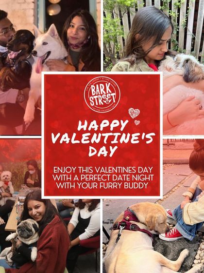 A collage celebrating Valentine's Day with the perfect date night buddy: your furry friend.