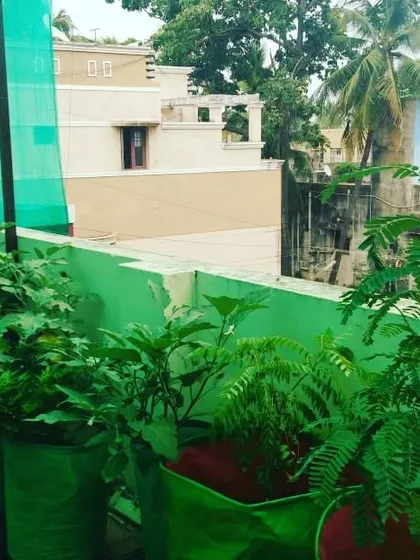 This image shows a variety of young plants thriving in their grow bags on a city terrace. Even with neighbors close by, you can create your own private, productive green space.