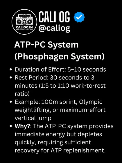 The ATP-PC system fuels efforts of 5-10 seconds, like a max vertical jump. It requires a longer rest period of 30 seconds to 3 minutes to replenish.