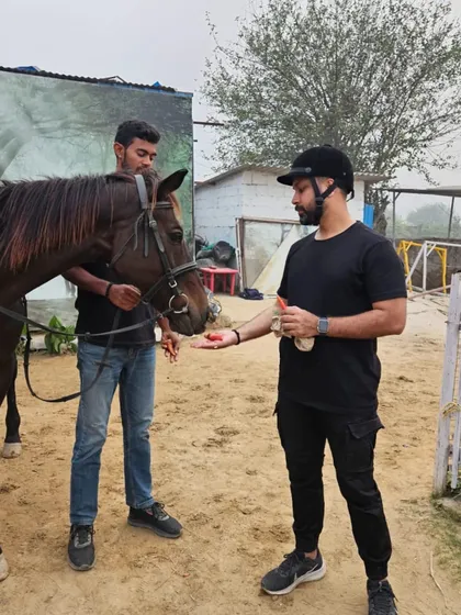 A rider offers his horse a treat after a good lesson. Positive reinforcement is a key part of our training philosophy.