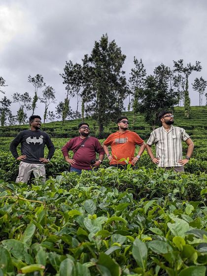A group of guys posing in a Wayanad tea estate.