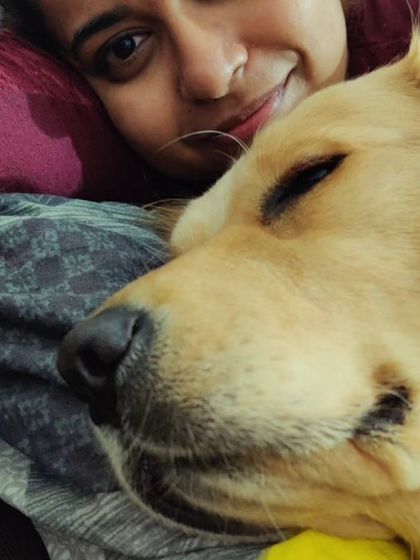 Zoella Dog Training - Puppy Foundation Training My Story & My Pups photo 10