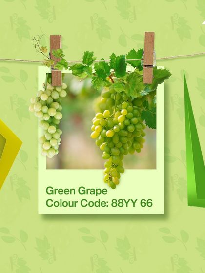 Paint My Walls - Painting Services Free Color Consultation & Inspiration photo 100