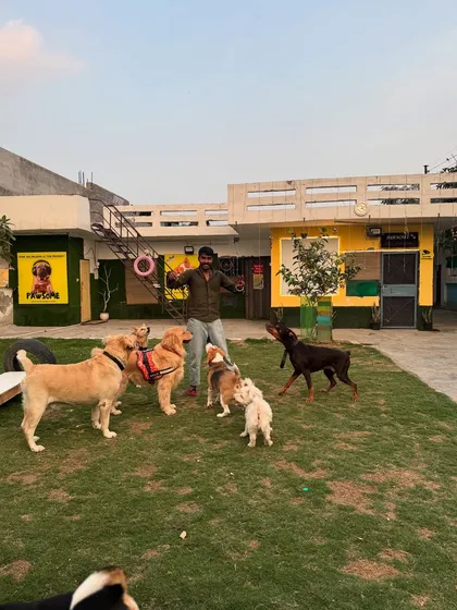 I love getting right in the middle of the action with the dogs. This kind of interaction is key to building trust and making sure everyone feels included in the fun.
