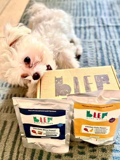 Another shot of a happy customer. This little Maltese is ready to dig into his box of fresh food, a testament to how much he loves it.
